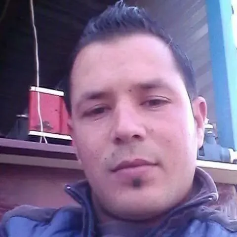 anis