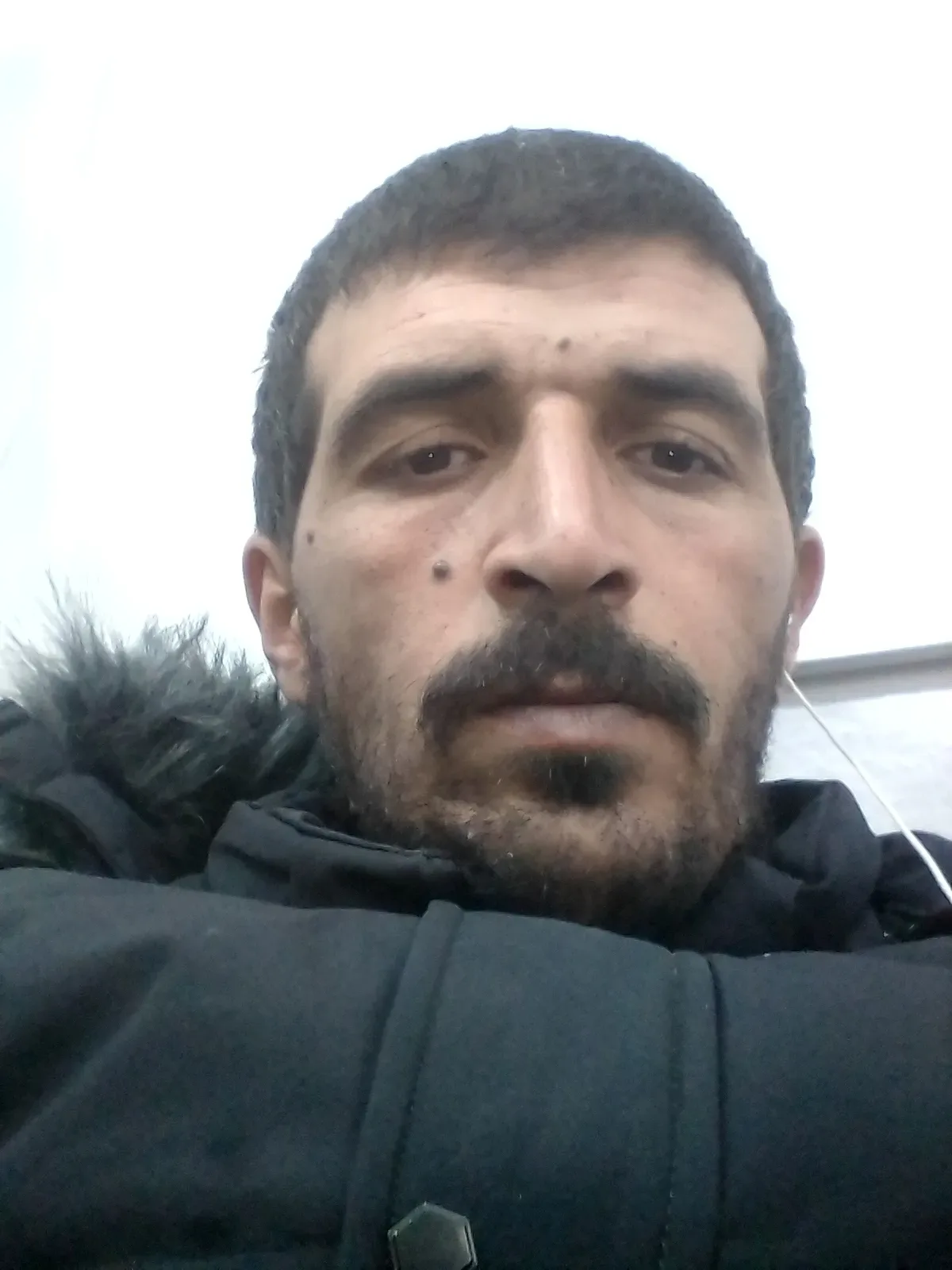 Chafike
