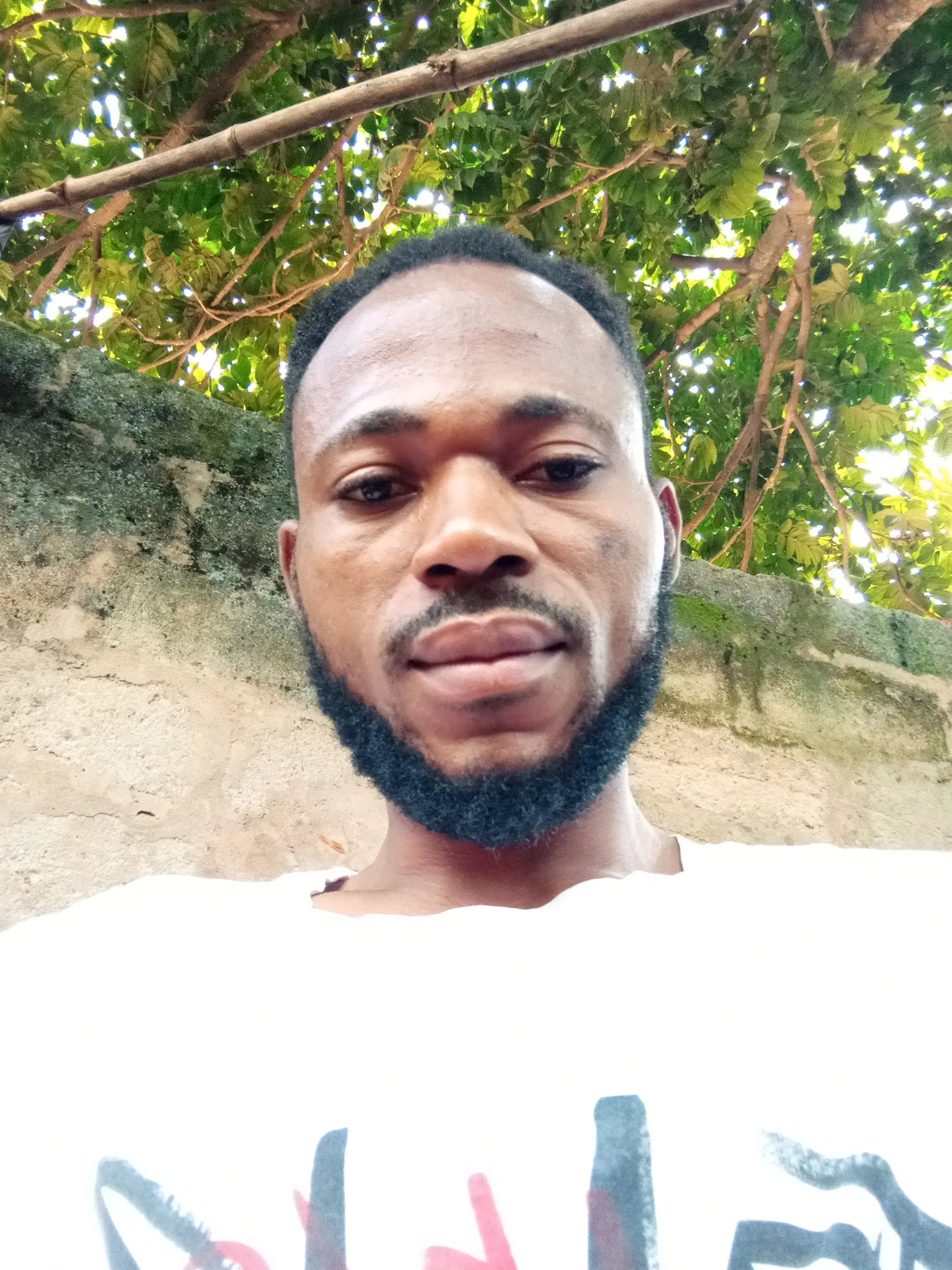 Chinedu prince