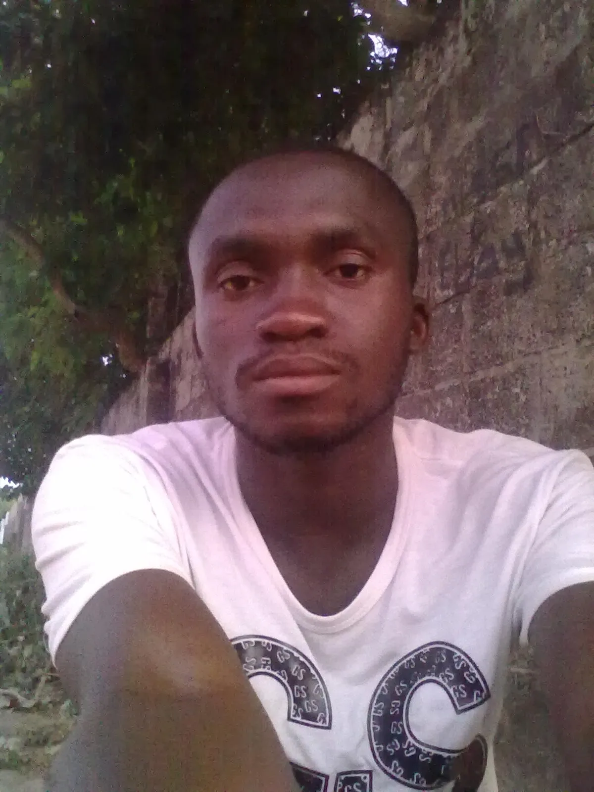 darbo