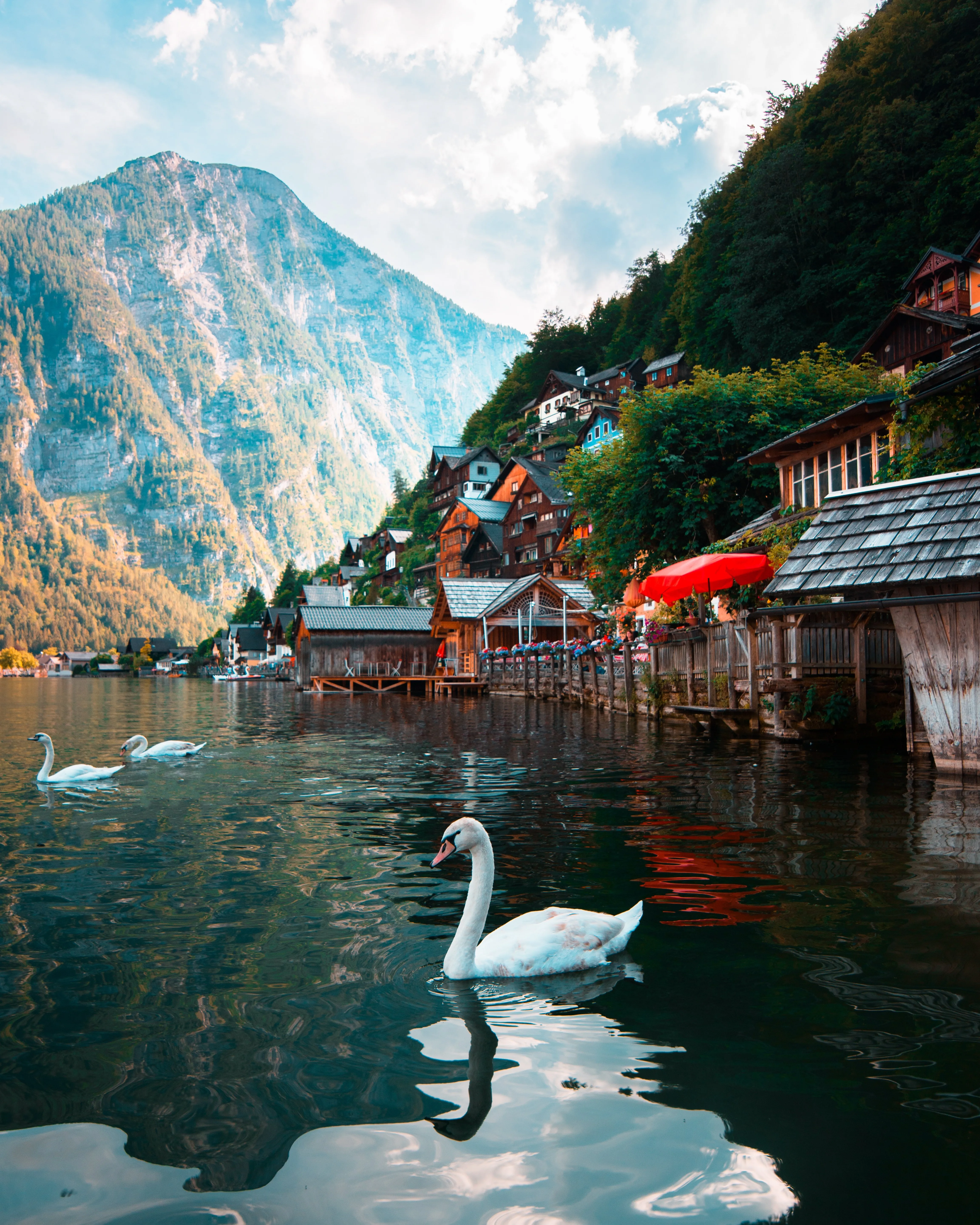 Austria. Love in the Alps