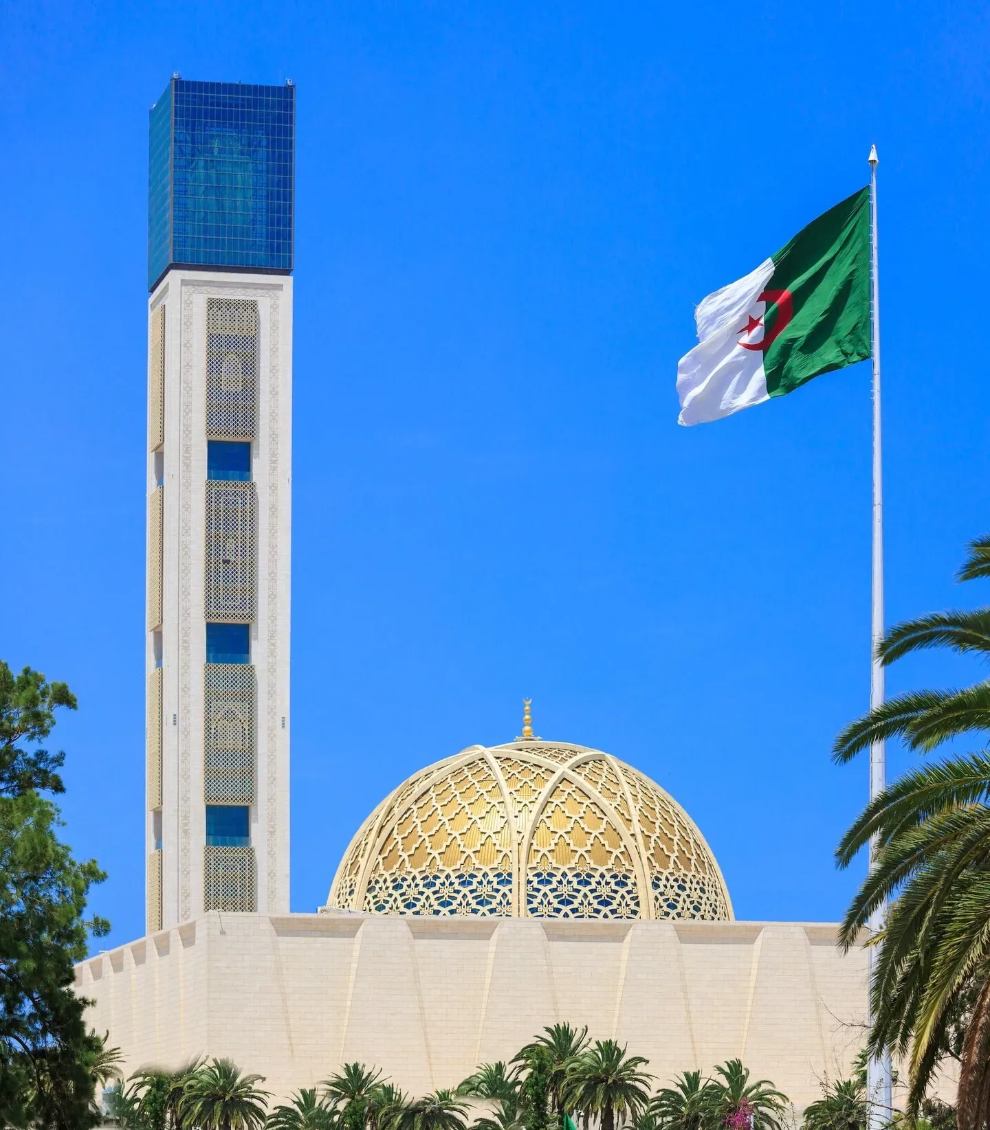 Algeria. Courtship and Marriage