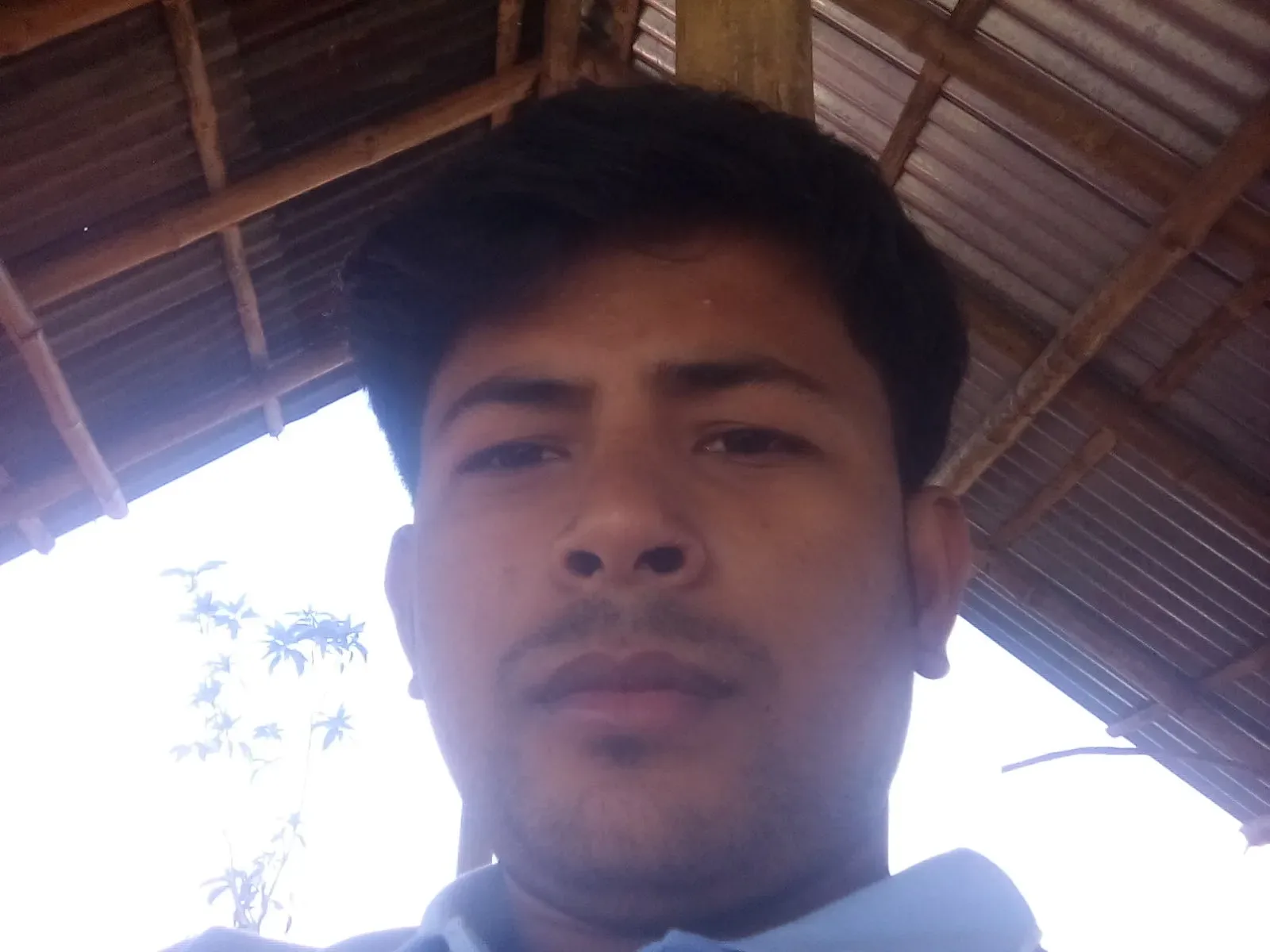 mr. raju, 33