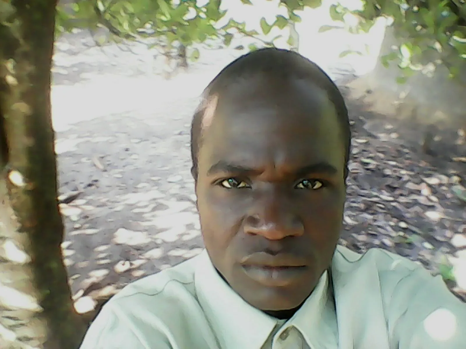 oloya chrispekarton