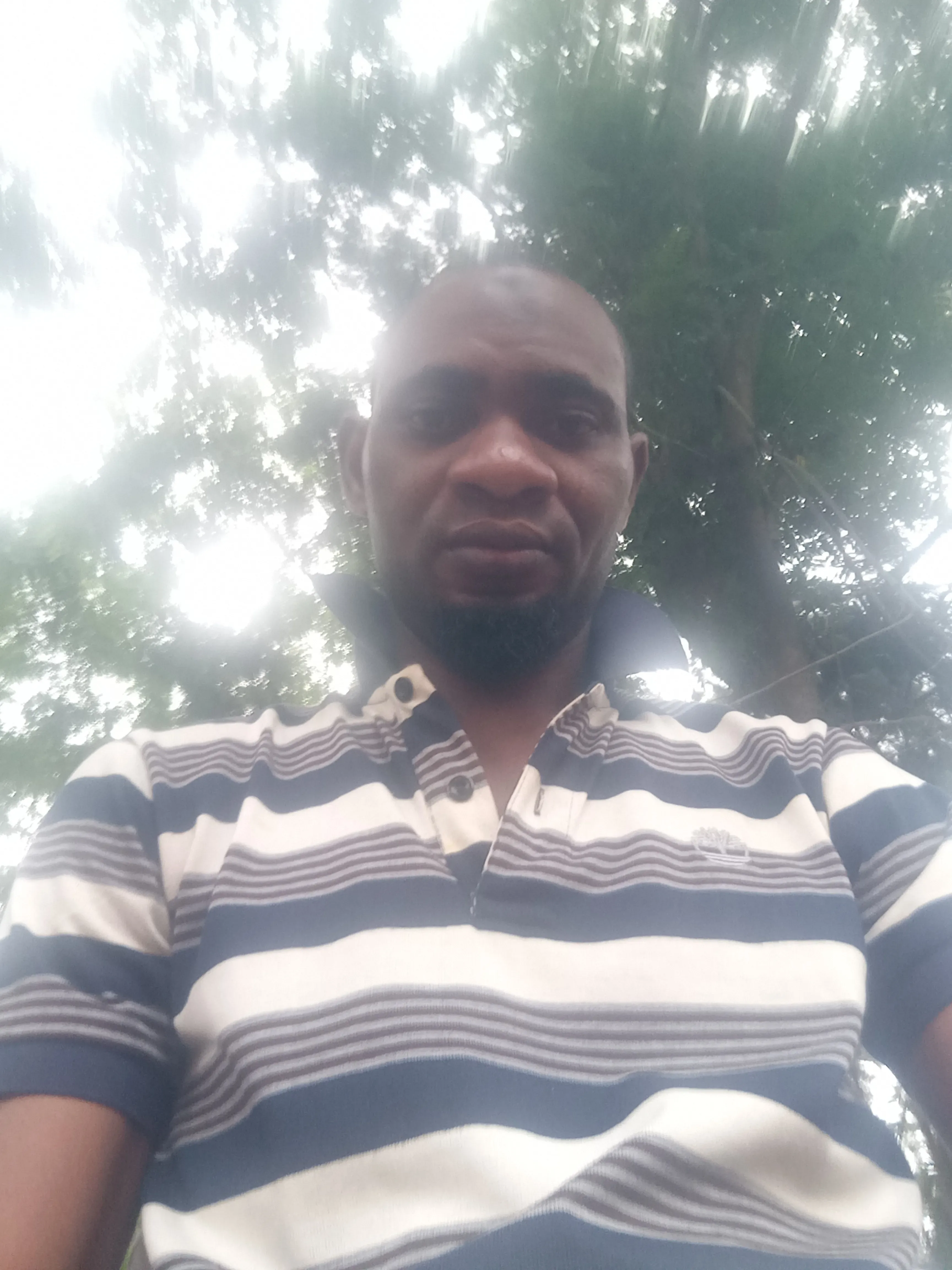 Olawax, 40