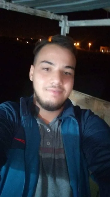 Basset, 26