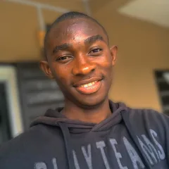Joelmerit