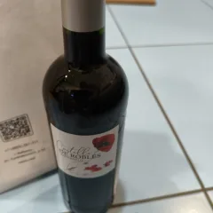 Ксю