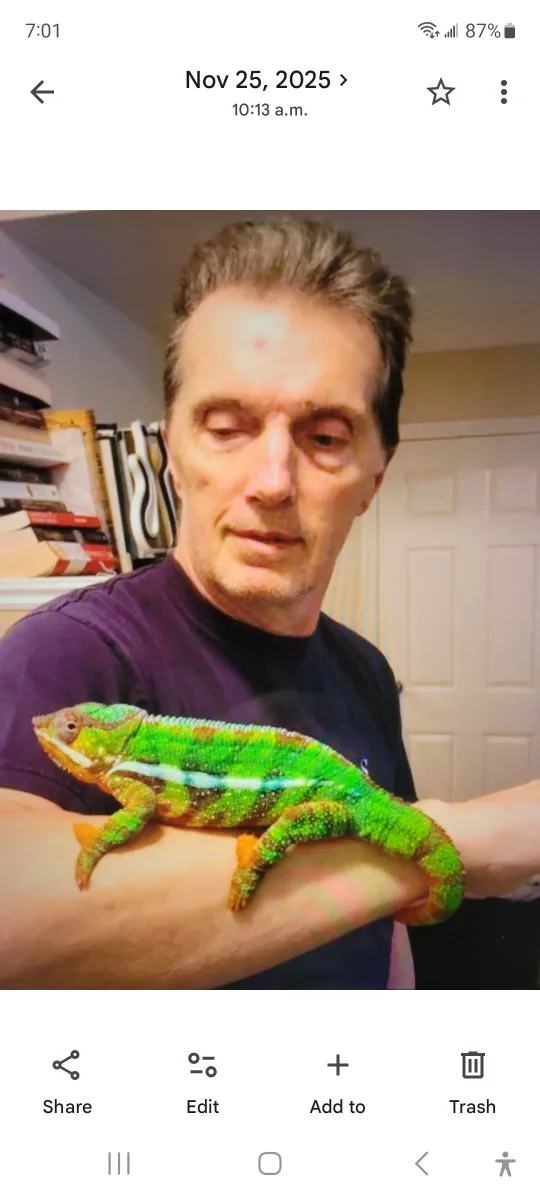 Dave