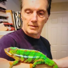 Dave
