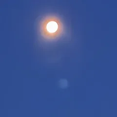 вика