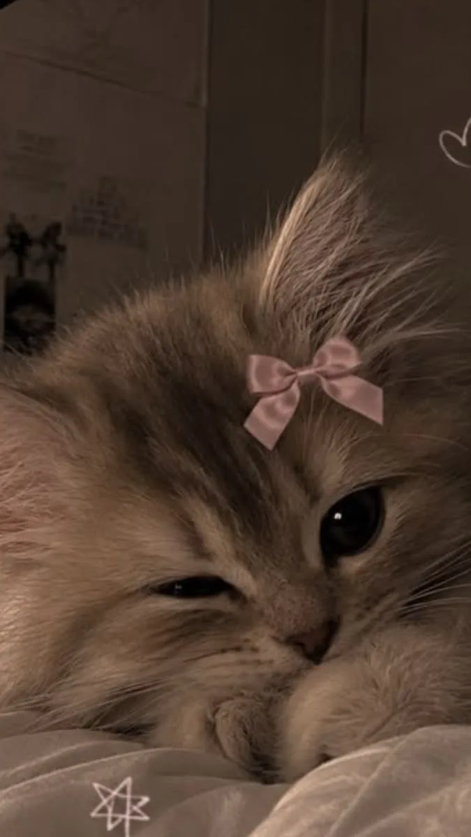 Miko Miels