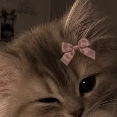 Miko Miels