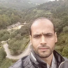 ellani lotfi