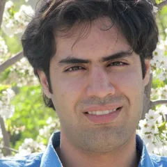 mido