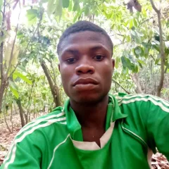 Wingxjnr