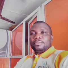 Femi Johnson Ayeni