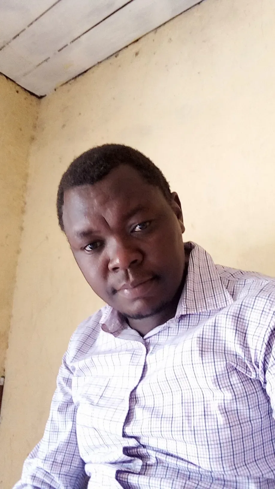 festus bett